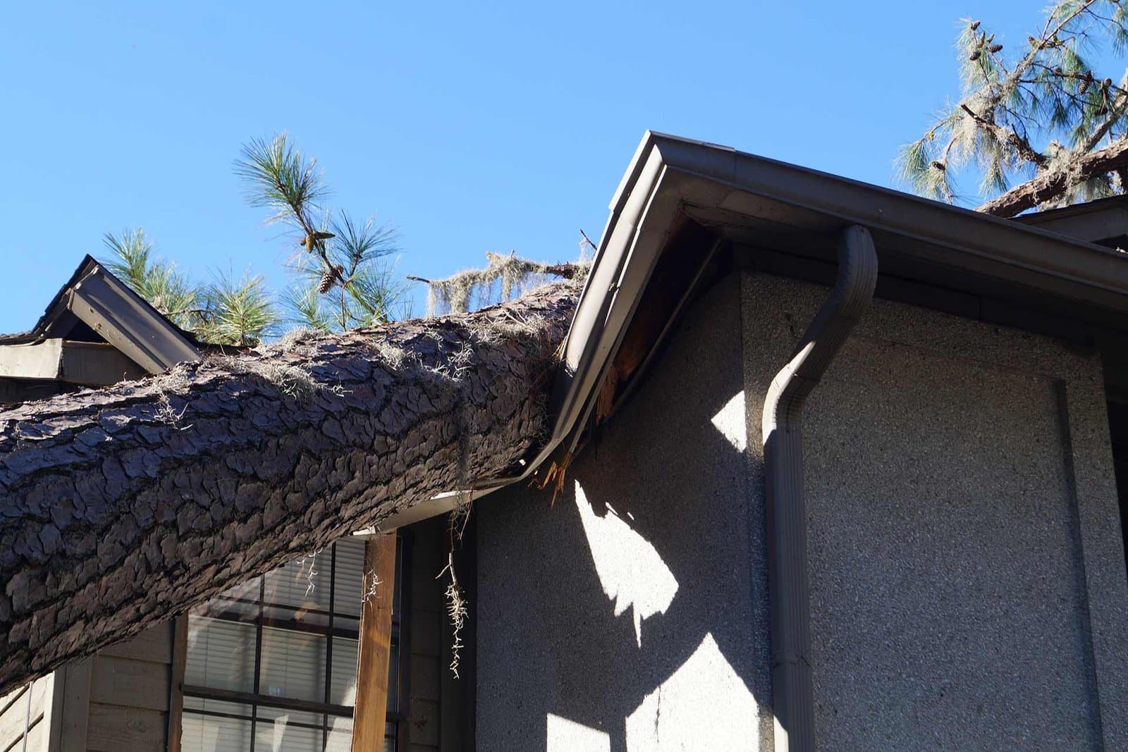 Storm damage restoration on a Twin Cities home