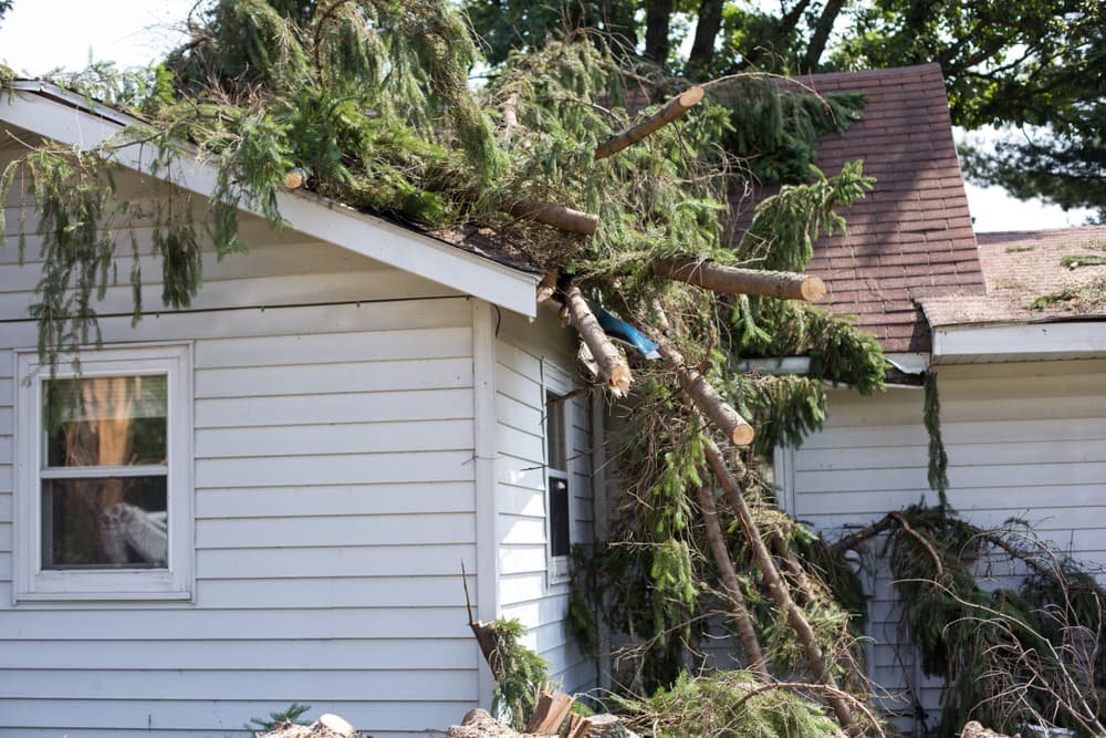 Andover, MN Trusted Insurance Claims Specialists