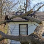 Emergency Roof Repairs in Andover, MN